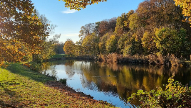 Herbstspaziergang an der Werre_012